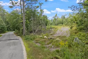Parcel 1 Map 49 Lot 16 2 Sanborn Rd, Newfield, ME 04095 - Photo 1