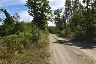 Lot 3 & 4 Nason Hill Rd, Dixmont, ME 04932 - Photo 28