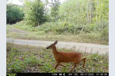 Lot 3 & 4 Nason Hill Road, Dixmont, ME 04932 - Photo 26