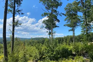 Lot 17 Birch Circle, Harrison, ME 04040 - Photo 1