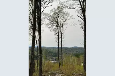 Lot 17 Birch Circle, Harrison, ME 04040 - Photo 10