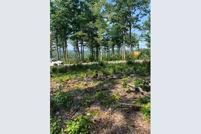 Lot 17 Birch Circle, Harrison, ME 04040 - Photo 4