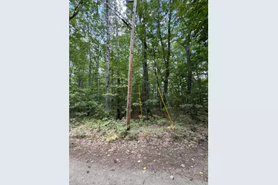 Map20Lot19 Carter Hill Road, Fryeburg, ME 04037 - Photo 14