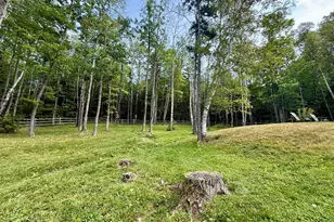 397 Lily Bay Rd, Greenville, ME 04441 - Photo 52