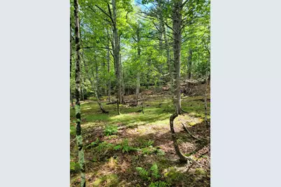 Lot #13-1 Shore Road, Ellsworth, ME 04605 - Photo 30