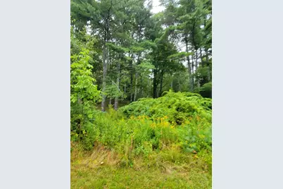Lot #13-1 Shore Road, Ellsworth, ME 04605 - Photo 10