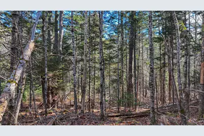 Lot #13-1 Shore Road, Ellsworth, ME 04605 - Photo 40