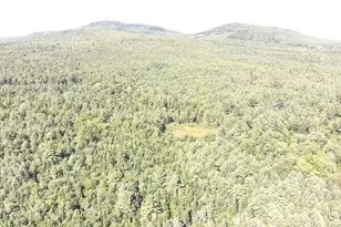 279 E Branch Rd, Seboeis Plantation, ME 04448 - Photo 6
