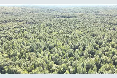 279 East Branch Road, Seboeis Plantation, ME 04448 - Photo 4
