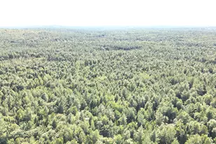 279 E Branch Rd, Seboeis Plantation, ME 04448 - Photo 4
