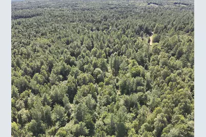 279 East Branch Road, Seboeis Plantation, ME 04448 - Photo 12