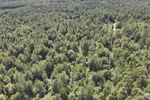 279 E Branch Rd, Seboeis Plantation, ME 04448 - Photo 12