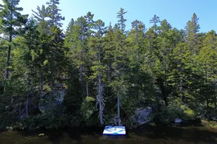 41 Sportsmen's Lodge Rd, Marshfield, ME 04654 - Photo 10