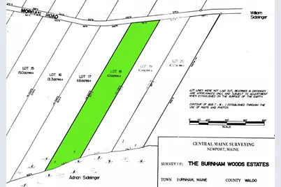 M5 Lot 43 Morgan Road, Burnham, ME 04922 - Photo 2