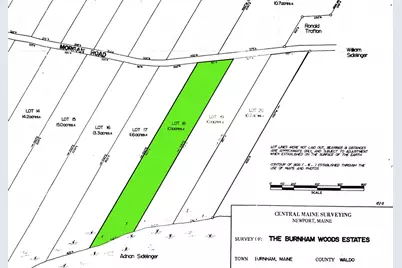 M5 Lot 43 Morgan Road, Burnham, ME 04922 - Photo 6