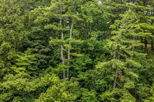 12 Rowell Rd, Hampden, ME 04444 - Photo 44