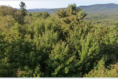 Lot# 55 Arlines Way, Woodstock, ME 04219 - Photo 2