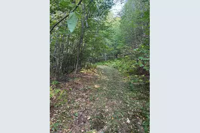 Lot# 55 Arlines Way, Woodstock, ME 04219 - Photo 6