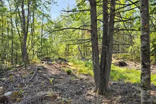 Lot A Serenity Ln, Oxford, ME 04270 - Photo 1