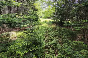 916 U S Rte 1, Jonesboro, ME 04648 - Photo 4