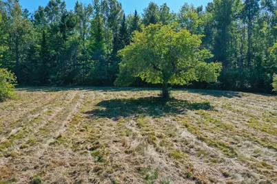 95 Bayside Road, Northport, ME 04849 - Photo 14