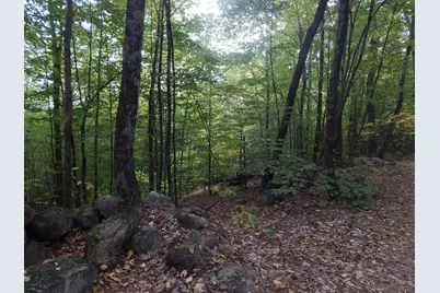 Lot#R13L50 Corn Hill Road, Brownfield, ME 04010 - Photo 2