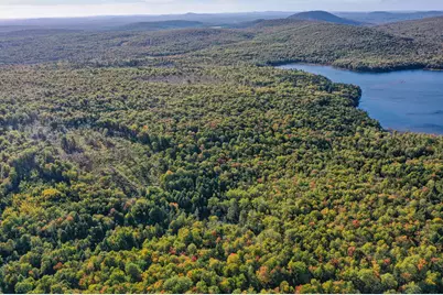 Lot 37 Wedge Heights Road, Orland, ME 04472 - Photo 4