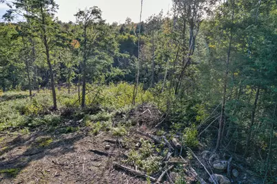 Lot 37 Wedge Heights Road, Orland, ME 04472 - Photo 18