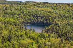 11 High Hill Ct, Dedham, ME 04429 - Photo 50