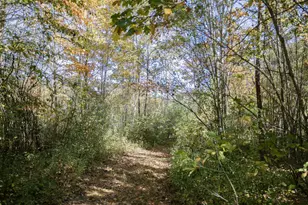 17 Treetop Ln, Jay, ME 04239 - Photo 74