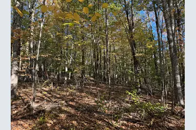 00 Ross Hill Road, Saint Albans, ME 04971 - Photo 6
