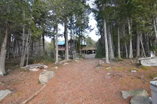 229 Two Lakes Dr Dr, Northfield, ME 04654 - Photo 6