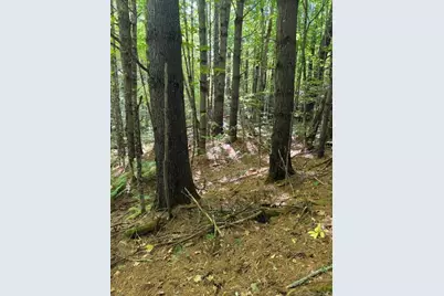 Lot 2 Oak Hill Road, Smithfield, ME 04978 - Photo 10