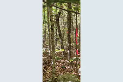 00 Taylor Cemetary  Lot 37-1 Road, Wellington, ME 04942 - Photo 6