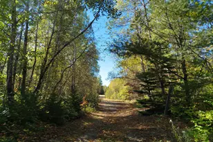 717 Crystal Rd, Crystal, ME 04747 - Photo 60