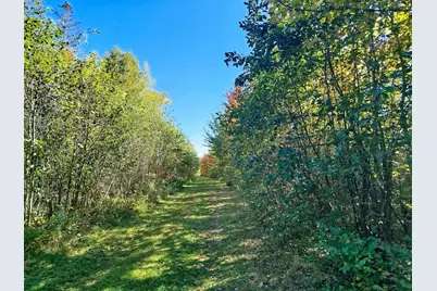 717 Crystal Road, Crystal, ME 04747 - Photo 100