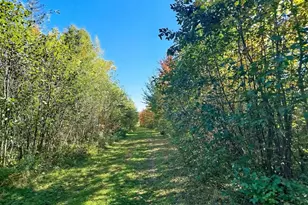 717 Crystal Rd, Crystal, ME 04747 - Photo 100
