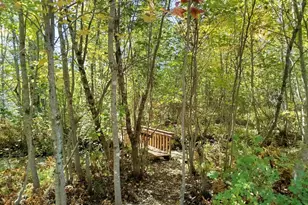 717 Crystal Rd, Crystal, ME 04747 - Photo 90