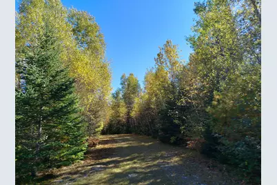 717 Crystal Road, Crystal, ME 04747 - Photo 96