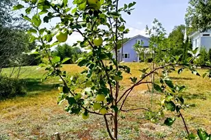 717 Crystal Rd, Crystal, ME 04747 - Photo 52