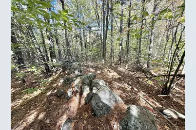 M19 L6-6 Tuell Hill Road, Sumner, ME 04292 - Photo 2
