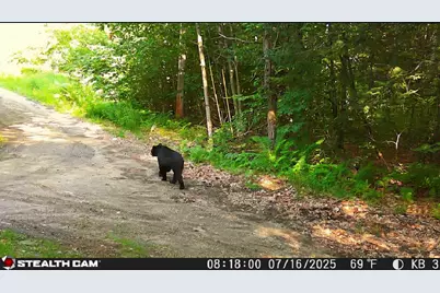 20 Kittridge Brook Road, West Paris, ME 04289 - Photo 14