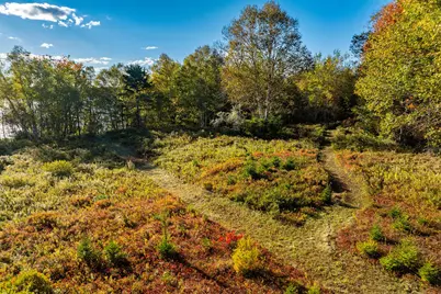Lot 55B Ficketts Point Road, Milbridge, ME 04658 - Photo 10