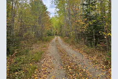 Map R09, Lot 12, Fox Run Drive, Mariaville, ME 04605 - Photo 6