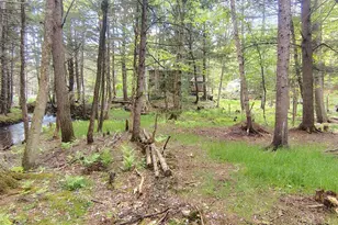 463 Clover Mill Rd, Farmington, ME 04938 - Photo 46
