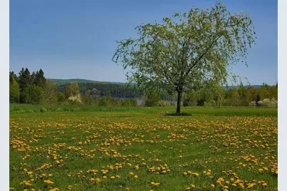 341 US Route 1, Weston, ME 04424 - Photo 98