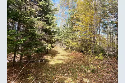 Lot 22 Off South Meadow & Roys Way Road, Perry, ME 04667 - Photo 6