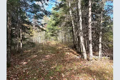 Lot 22 Off South Meadow & Roys Way Road, Perry, ME 04667 - Photo 8