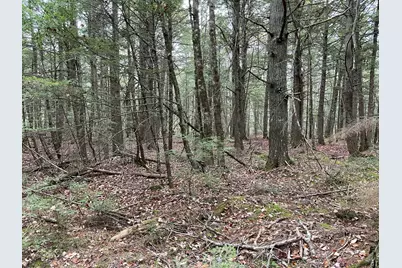 Lot 3-B West Branch Road, Mariaville, ME 04605 - Photo 16