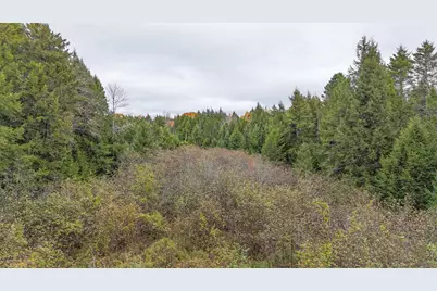 Lot 3-B West Branch Road, Mariaville, ME 04605 - Photo 6